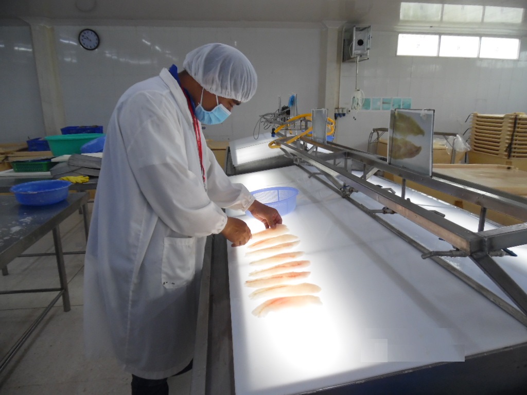 Pre-shipment Inspection-PSI